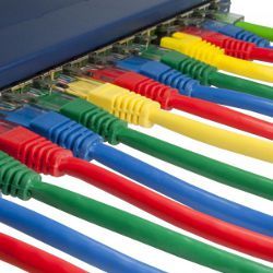 Ethernet cables plugged into an Internet switch