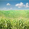 Nsf Funds Big Data Project in Digital Agriculture