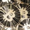 Quantum Computers Will Destroy Bitcoin, Scientists Warn