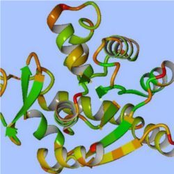 Visual representation of protein 4ake
