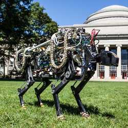 A robotic cheetah; Massachusetts Institute of Technology professor James Kirtley has been working on more-efficient motors for the robot.