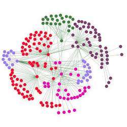 Diagram of a social network.