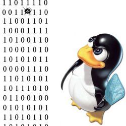 Linux bug, illustration