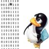 Critical Linux Bug Opens Systems to Compromise