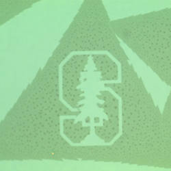The researchers etched a nanoscale image of the Stanford tree onto an ultrathin chip