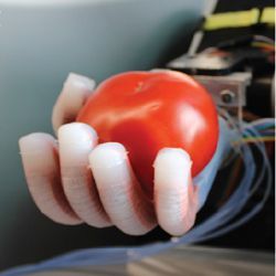 robotic hand holding tomato