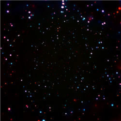 Chandra view of black holes