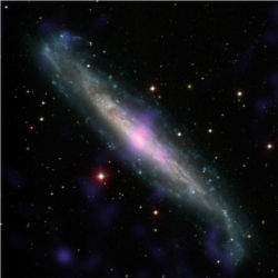 Galaxy NGC 1448 with active galactic nucleus