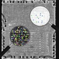 reverse engineered processor