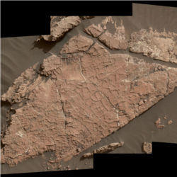 Possible mud cracks on Mars