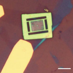 heterostructures integrated with a photonic crystal cavity