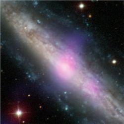 Galaxy NGC 1448