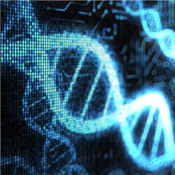 DNA-based computing