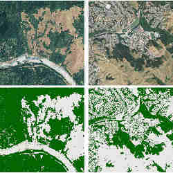 Satellite photos of California landscapes (top); in green, what the D-Wave recognized as trees (bottom).