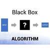 In Black Box Algorithms We Trust (or Do We?)