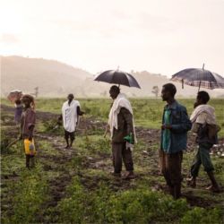 Africa precipitation forecasting