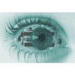 A new artificial vision system was inspired by the human eye.