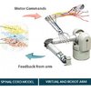 Sdsc's Comet Helps Replicate Brain Circuitry to Direct a Realistic Prosthetic Arm