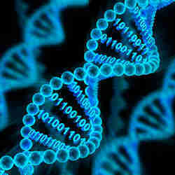 A representation of DNA data storage.