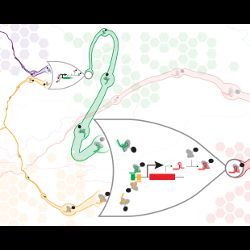 CRISPR-dCas9 NOR gates