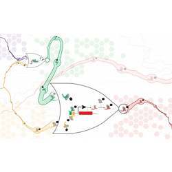 Artists impression of connected CRISPR-dCas9 NOR gates.