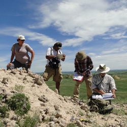 researchers doing geologic mapping