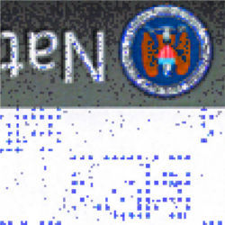 NSA steganography