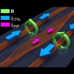 magnetoresistive graphene nanoribbon, illustration