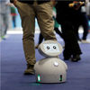 Robots Will Be More ­seful If They Are Made to Lack Confidence