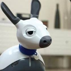 Robot dog MiRo.