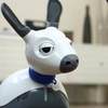 Robot Dog Has an Artificial Woof That Sounds Like the Real Thing