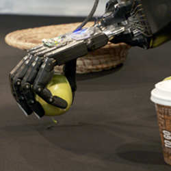 The robot hands are strong enough to crush an apple, but wont damage delicate objects.