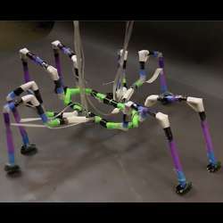 A semi-soft robot capable of walking.