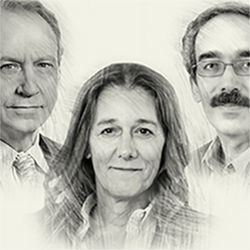 Rodney Brooks, Martine Rothblatt, Ruchir Puri