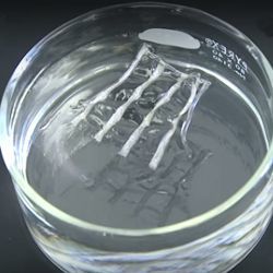 silver nanowires dissolving in cool water