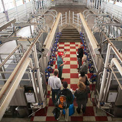 Cornell Universitys Teaching Dairy Barn.