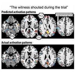 Tracking brain activation patterns.