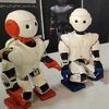 Iran's Newest Robot Is an Adorable Dancing Humanoid