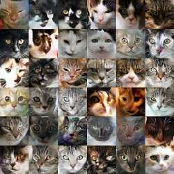 Cat faces generated by the Meow Generator. 