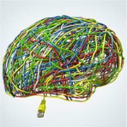 Wire brain