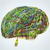 Pocket Brains: Neuromorphic Hardware Arrives For Our Brain-Inspired Algorithms