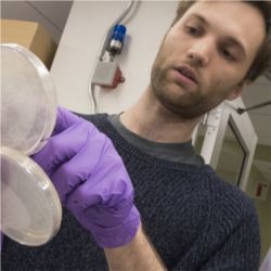 Henri Berger, NYU, live yeast cultures