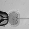 First Human Embryos Edited in ­.s.
