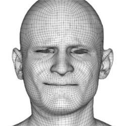 Facial animation head