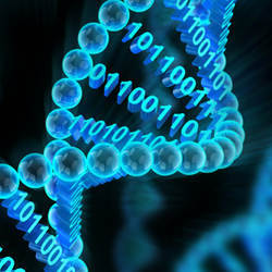 The double helix of DNA, embedded with data.