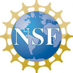 Logo of the U.S. National Science Foundation.