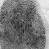 Scientists Automate Key Step in Forensic Fingerprint Analysis