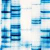 Cryptographers and Geneticists ­nite to Analyze Genomes They Can't See