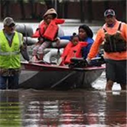 Cajun Navy