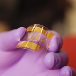 flexible transistor